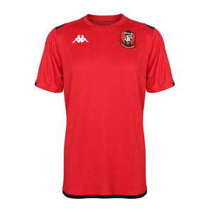 Customized high quality leisure polyester and cotton T-shirt