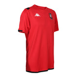 Customized high quality leisure polyester and cotton T-shirt