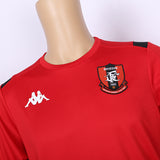 Customized high quality leisure polyester and cotton T-shirt