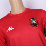 Custom Logo Full color polyester and cotton T-shirt